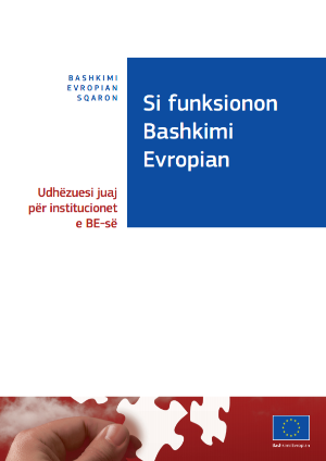 Si funkcionon Bashkimi Europian
